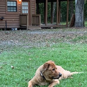 Meet your Posher, Nancy